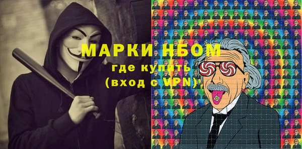 гашик Нефтекумск
