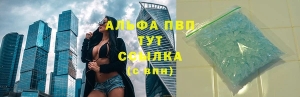 гашик Нефтекумск