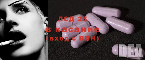 гашик Нефтекумск