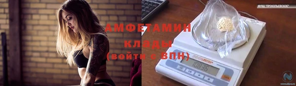 гашик Нефтекумск