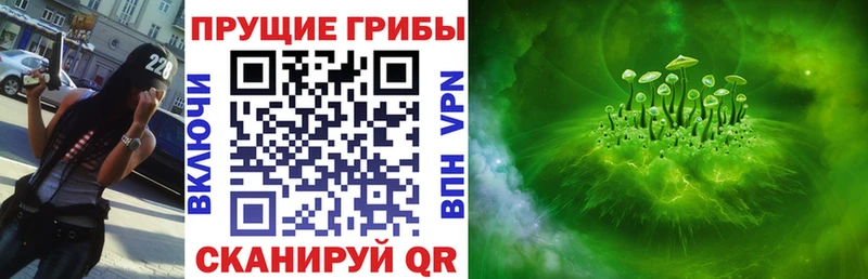 ссылка на мегу tor  Мурманск  Галлюциногенные грибы Psilocybe 