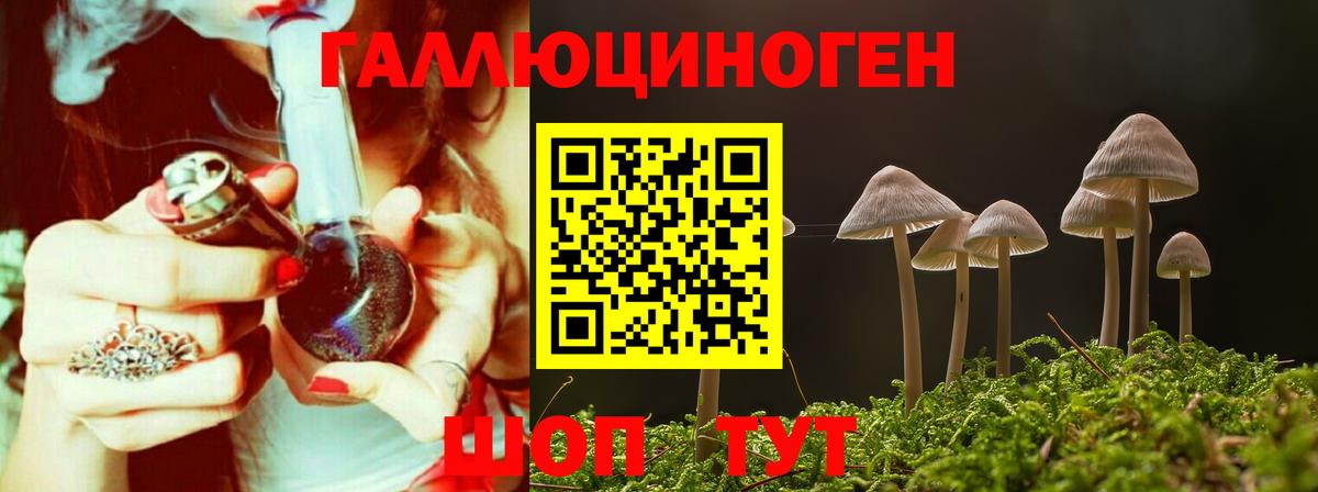 Псилоцибиновые грибы Psilocybe  Вход с VPN  Псилоцибиновые грибы мицелий  Мурманск 
