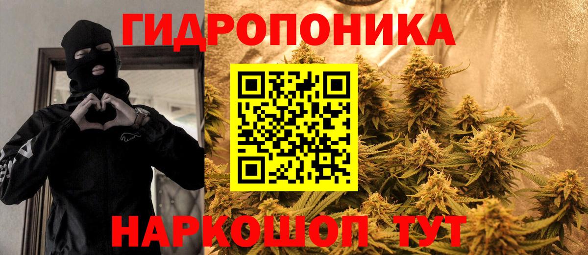 Каннабис Ganja  МАРИХУАНА White Widow  МАРИХУАНА OG Kush  Мурманск 